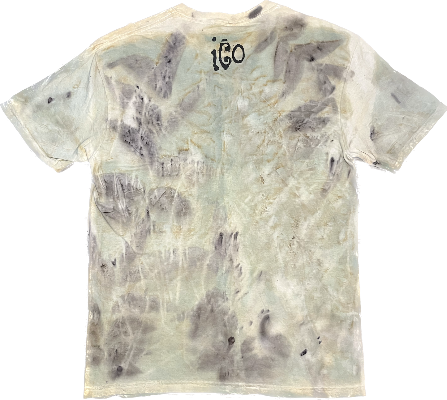 ico-t large