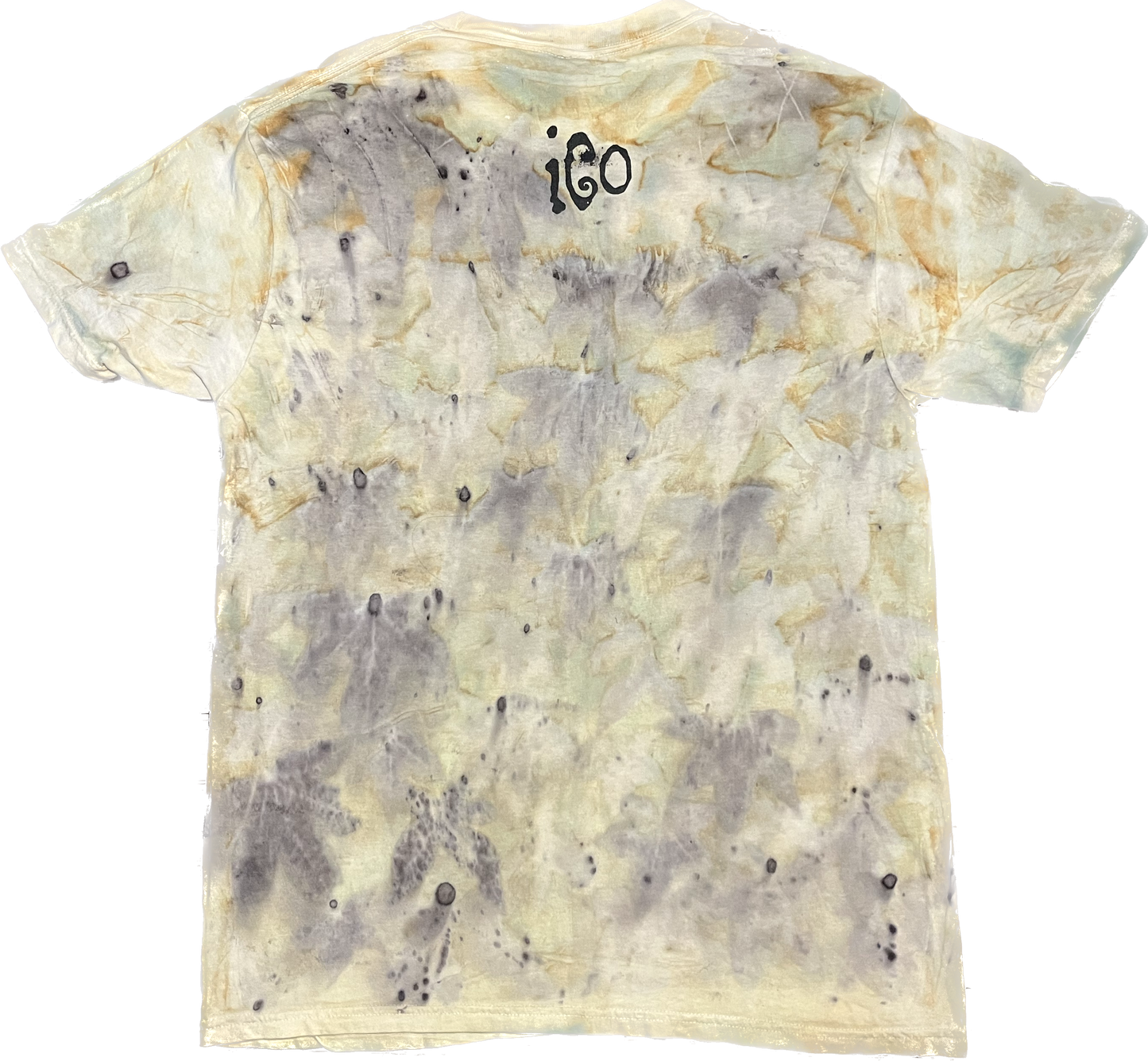 ico-t large