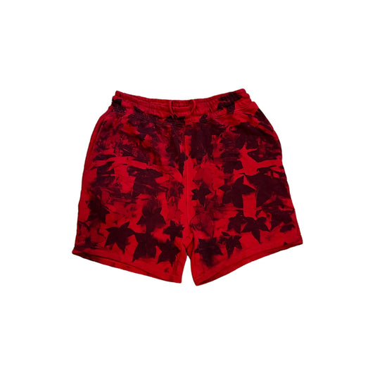 Ico Shorts Large