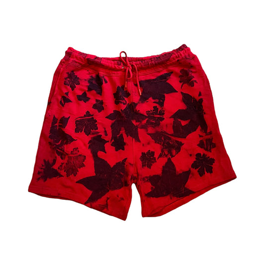 Ico Shorts X-Large